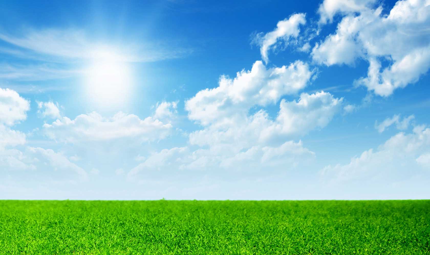 Evergreen Oil & Feed Sdn Bhd | Recycle Oil Company Melaka, Malaysia