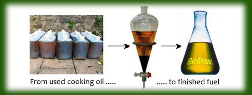 evergreen oil Feed | used cooking oil to recycling